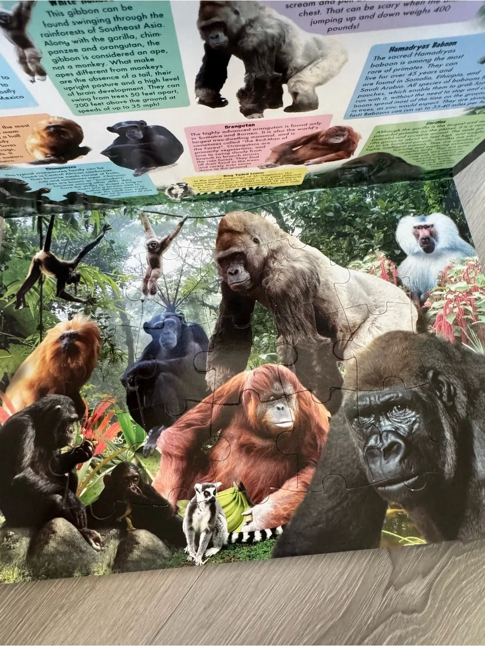 Animal treasures large puzzle book featuring endangered animals